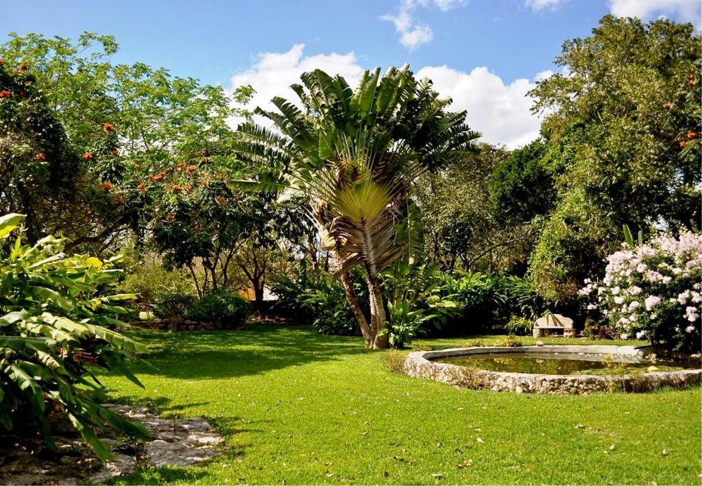 Hacienda San Francisco Tzacalha Hotell Dzidzantún Exteriör bild